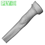DV13-89 Homo sapiens radius left proximal ply