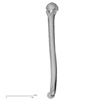 DV14-104 Homo sapiens humerus right medial