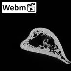 DV14-105 Homo sapiens humerus left distal ct stack movie