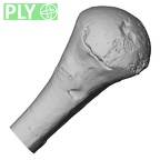 DV14-105 Homo sapiens humerus left proximal ply