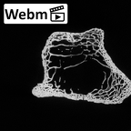DV14-106 Homo sapiens ulna right proximal ct stack movie