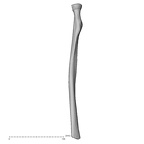 DV14-109 Homo sapiens radius right anterior