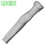 DV14-109 Homo sapiens radius right proximal ply
