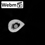 DV14-111 Homo sapiens radius left ct stack movie