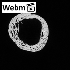 DV14-111 Homo sapiens radius left proximal ct stack movie