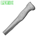 DV14-111 Homo sapiens radius left proximal ply