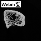 DV15-100 Homo sapiens ulna right proximal ct stack movie