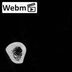 DV15-101 Homo sapiens ulna left ct stack movie