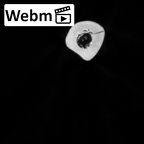 DV15-103 Homo sapiens radius left ct stack movie