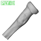 DV15-103 Homo sapiens radius left proximal ply