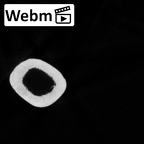 DV15-98 Homo sapiens humerus right ct stack movie