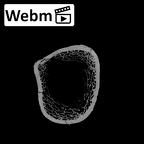 DV15-98 Homo sapiens humerus right proximal ct stack movie
