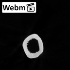 DV15-99 Homo sapiens humerus left ct stack movie