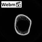DV15-99 Homo sapiens humerus left proximal ct stack movie