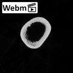 DV16-59 Homo sapiens humerus right ct stack movie
