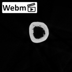 DV16-60 Homo sapiens humerus left ct stack movie