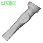 DV16-63 Homo sapiens radius right proximal ply
