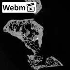 Pav1-38 Homo sapiens vertebra ct stack movie