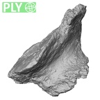 Pav1-39 Homo sapiens vertebra ply