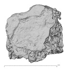 Pav1-40 Homo sapiens vertebra view 2