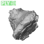 Pav1-40 Homo sapiens vertebra ply