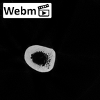 Pav1-47 Homo sapiens humerus left ct stack movie