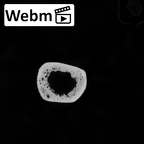 Pav1-48 Homo sapiens humerus right ct stack movie
