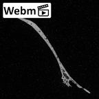Pav1-4 Homo sapiens cranium ct stack movie