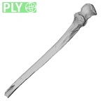 Pav1-50 Homo sapiens ulna left ply