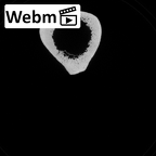 Pav1-55 Homo sapiens femur right ct stack movie