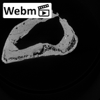 Pav1-56 Homo sapiens femur left distal ct stack movie