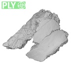 Pav1-57 Homo sapiens tibia right ply