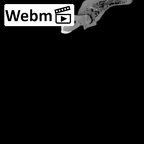 Pav1-5 Homo sapiens mandible ct stack movie