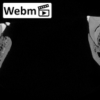 Pav1-5 Homo sapiens mandible dentition ct stack movie