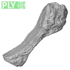 Pav1-60 Homo sapiens sternum ply