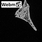 Pav1-unnB Homo sapiens cranium ct stack movie