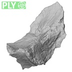 Pav1-unnB Homo sapiens cranium ply