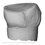 Pav14-1 H. sapiens ULDC