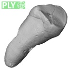 Pav15-1 Homo sapiens ULDC ply
