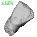 Pav17-1 Homo sapiens LRDI2 ply