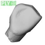 Pav18-1 Homo sapiens LLDI2 ply