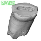 Pav19-1 Homo sapiens ULDI1 ply