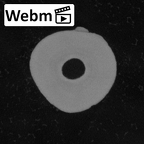 Pav21-1 Homo sapiens LP3 ct stack movie