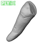 Pav22-1 Homo sapiens ULI2 ply
