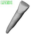 Pav23-1 Homo sapiens LLI1 ply