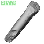 Pav24-1 Homo sapiens LRI1 ply