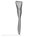 Pav25-1 Homo sapiens LRI1 lingual