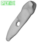 Pav25-1 Homo sapiens LRI1 ply