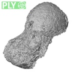 Pav3-a Homo sapiens scaphoid left ply