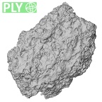 Pav3-d Homo sapiens trapezium right ply